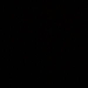 Meet your Posher, Dawson